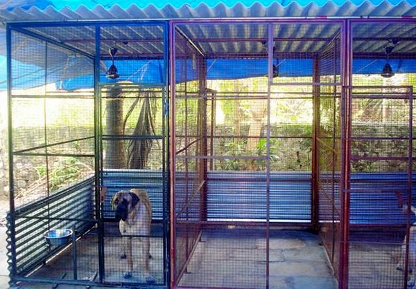 Delriques Kennel