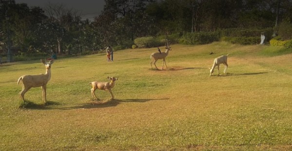 garden to visit in mumbai