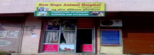 7 Best Veterinary Clinics In Navi Mumbai