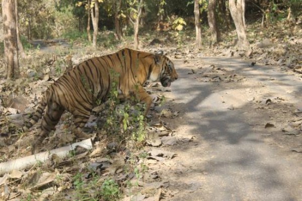 solo trip from mumbai