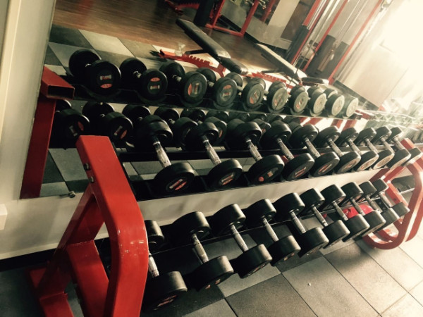 5 Best Gyms In Bhandup For Fitness Lovers