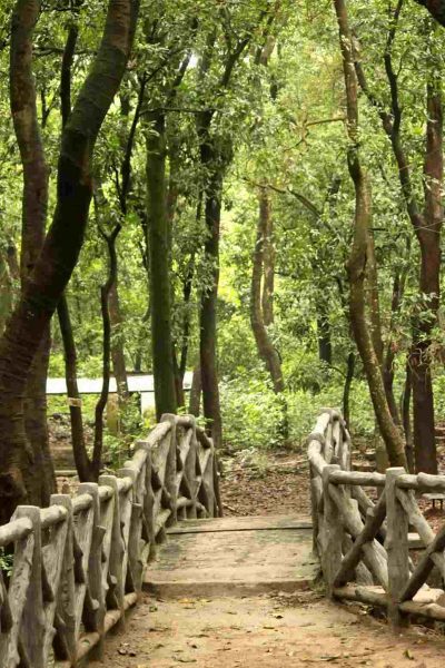 Bird Sanctuary Karnala