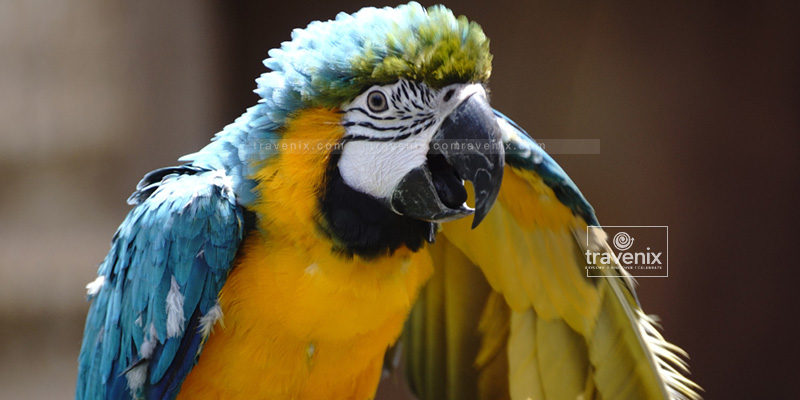 Essel World Bird Park Mumbai