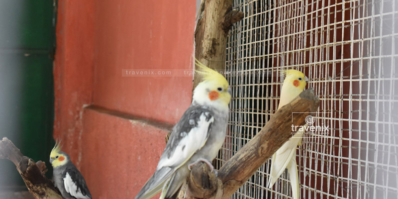 Karnala Bird Sanctuary Mumbai