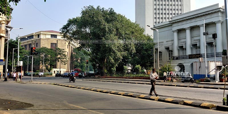 Serene lanes at Asiatic Library