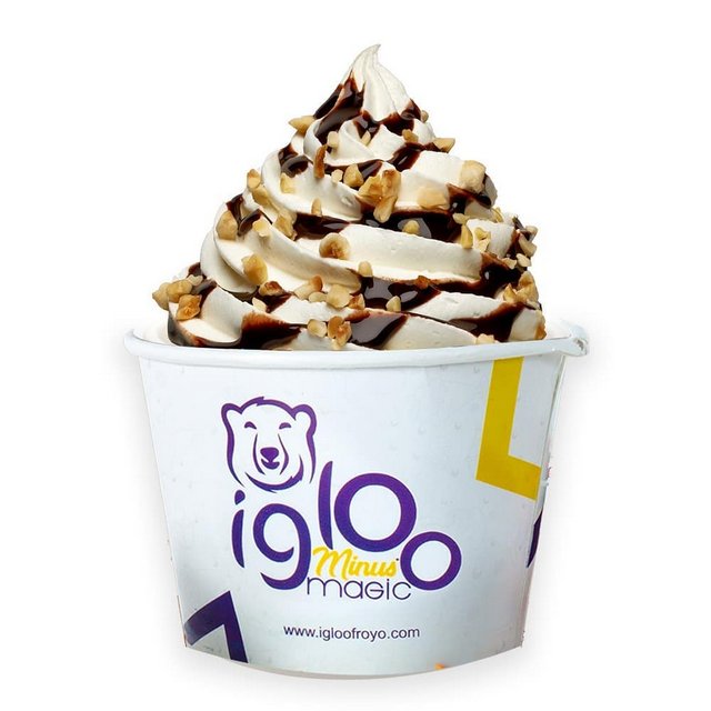 Frozen Youghurt from Igloo Minus Degree Magic