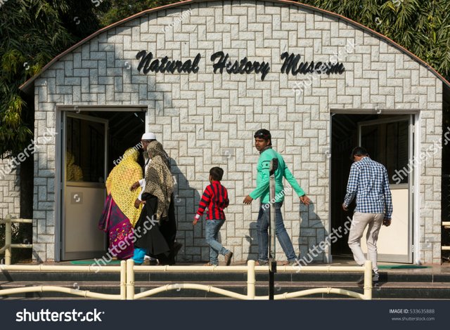 Natural History Museum at Nehru Zoo