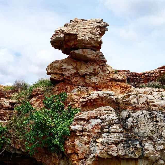 Orvakal Rock Garden