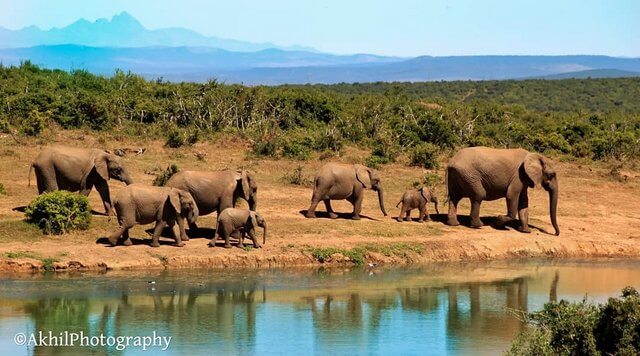 Rollapadu Wildlife Sanctuary