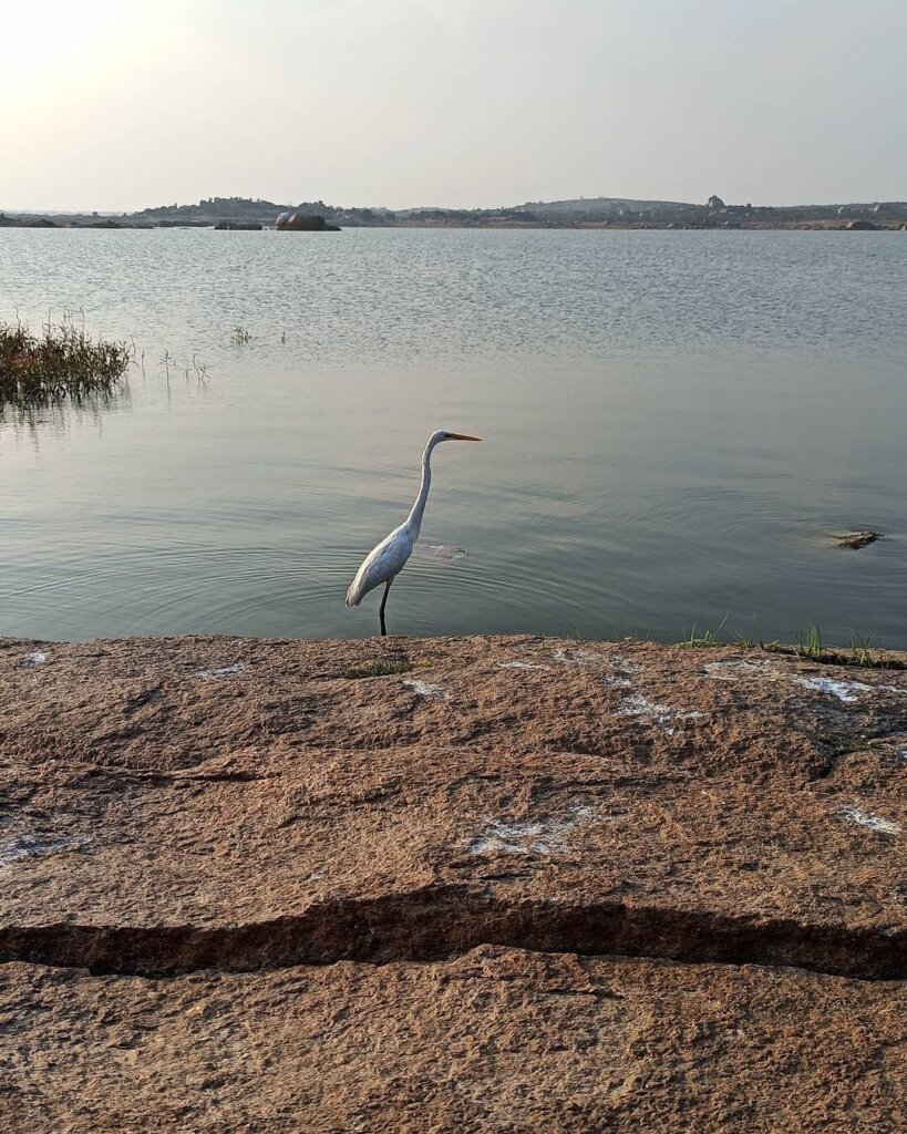 Shamirpet Lake