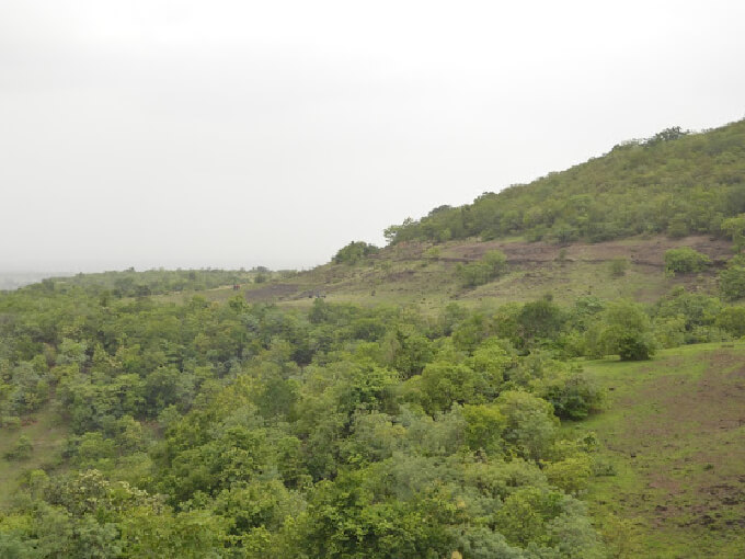 Ananthagiri hills in Hyderabad