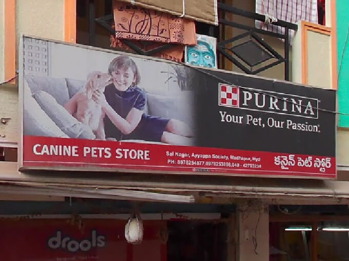 Canine Pet Store in Hyderabad 