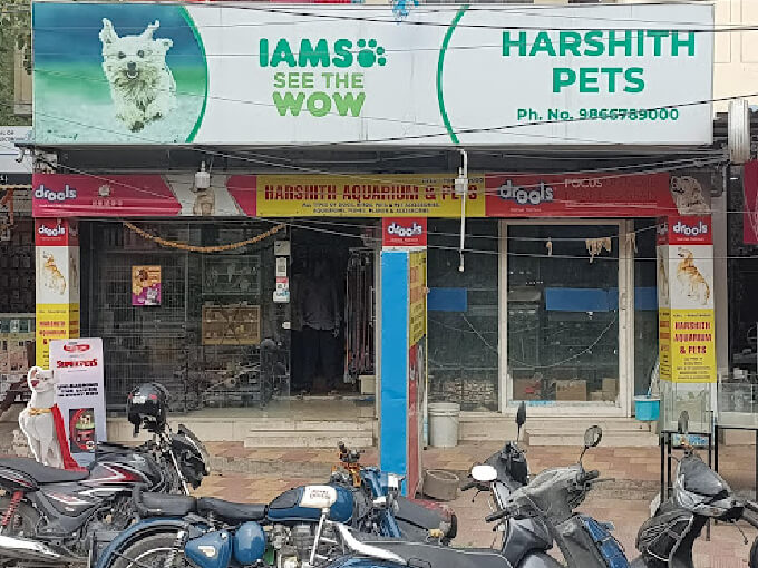 Harshith Pets in Hyerabad