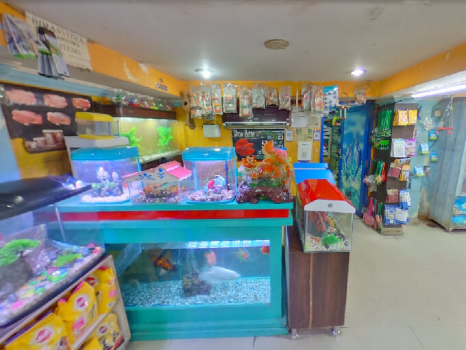 Himanvitha Aquarium & Pet Shop in Hyderabad