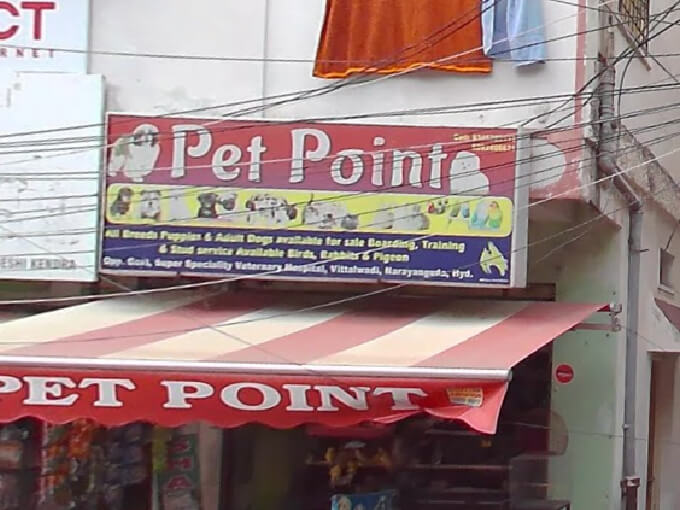Pet Point in Hyderabad