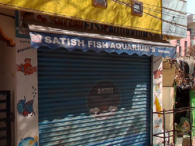 Satish fish aquarium in Hyderabad