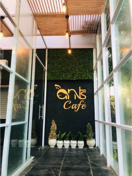 Ants cafe