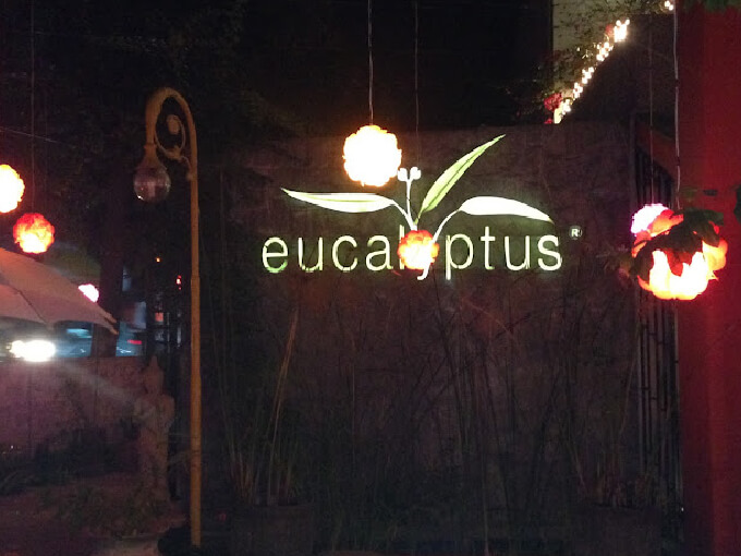 Eucalyptus Hyderabad